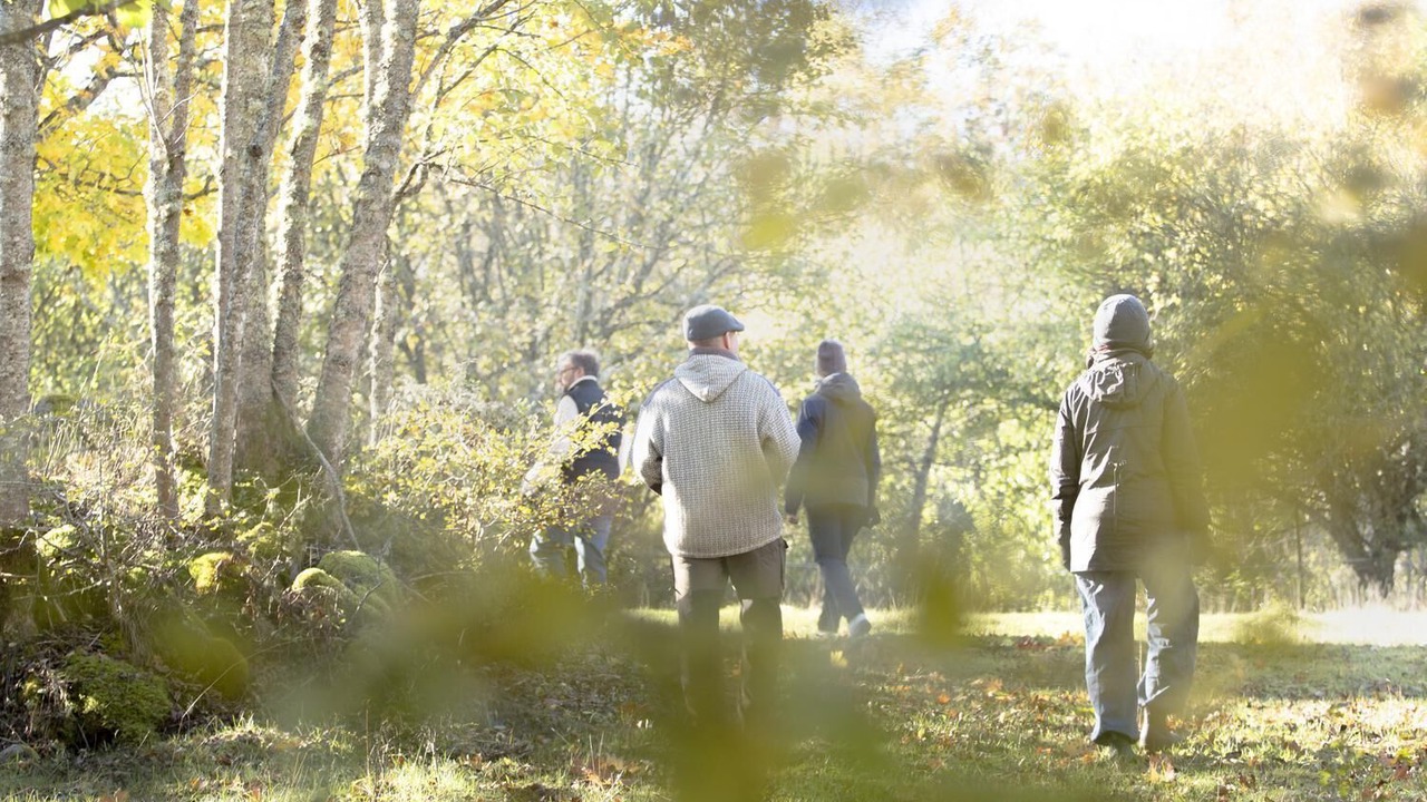 Photo of Outdoor in Troxhult