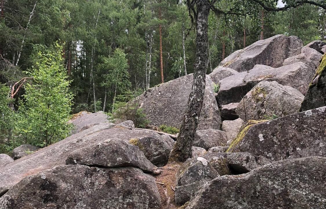 Photo of Outdoor in Troxhult