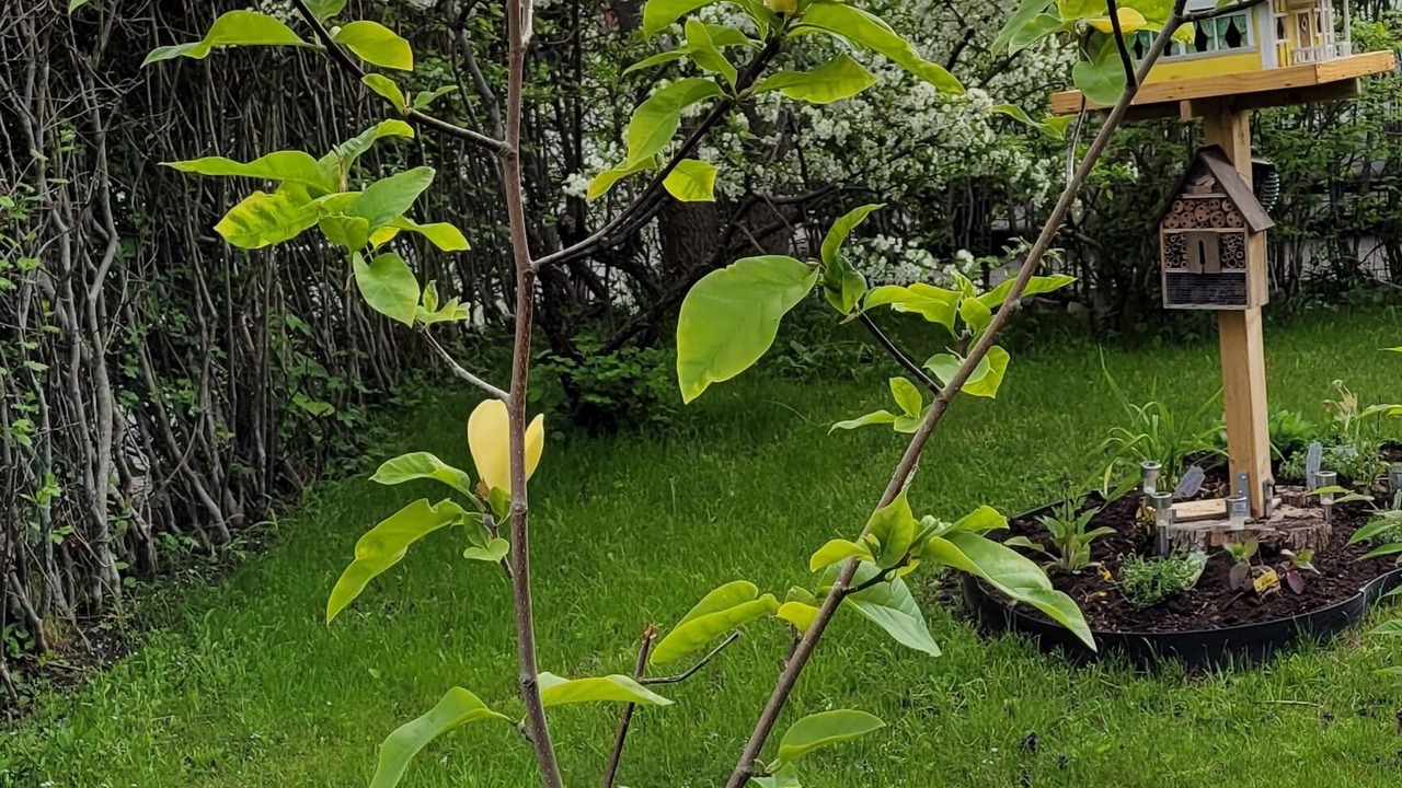 Photo of Outdoor in Tumba