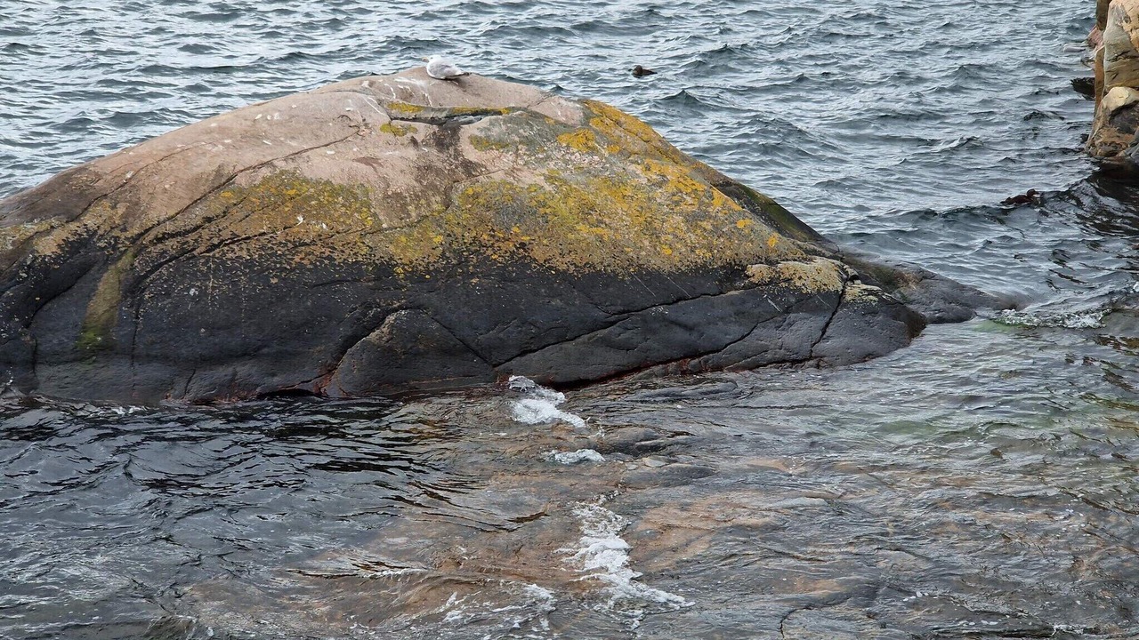 Photo of Others in Kungshamn