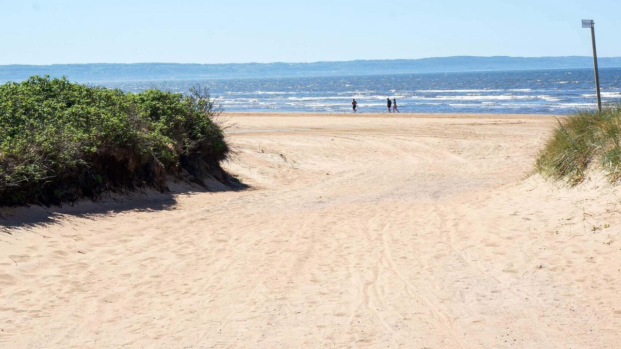 Photo of Others in Skummesloevsstrand