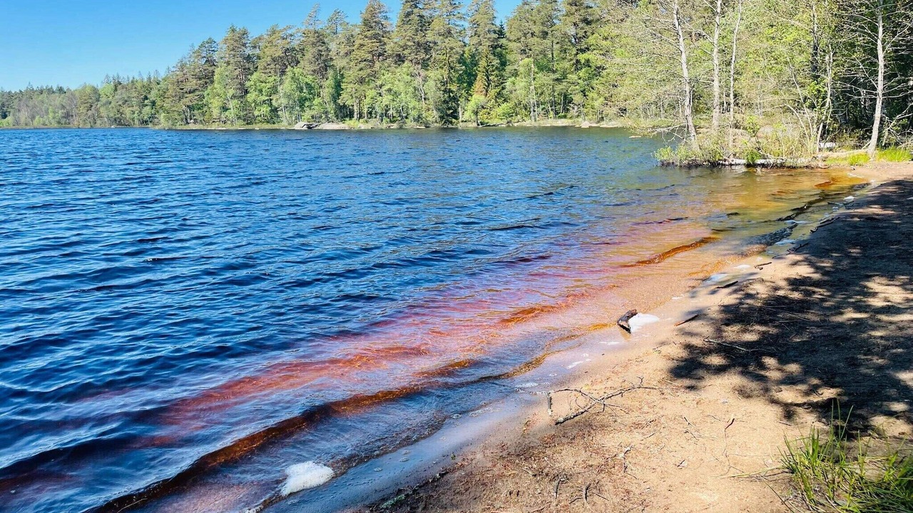 Photo of Outdoor in Hovmantorp