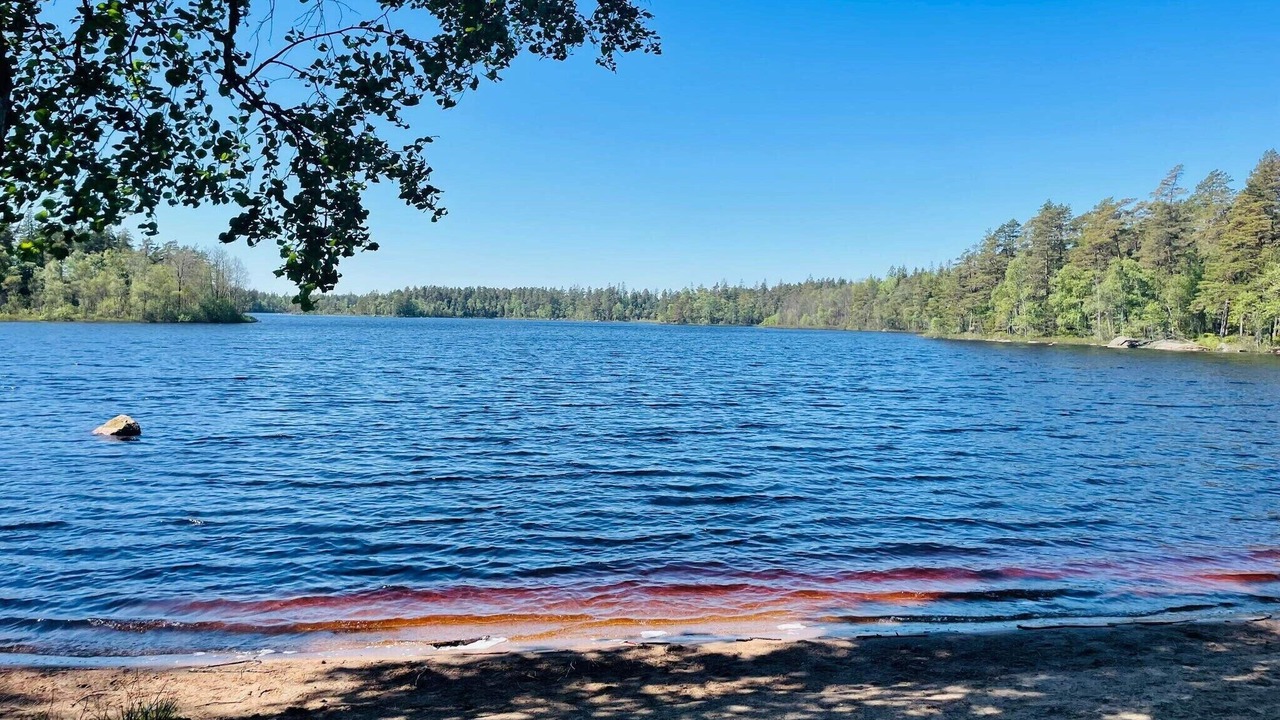 Photo of Outdoor in Hovmantorp