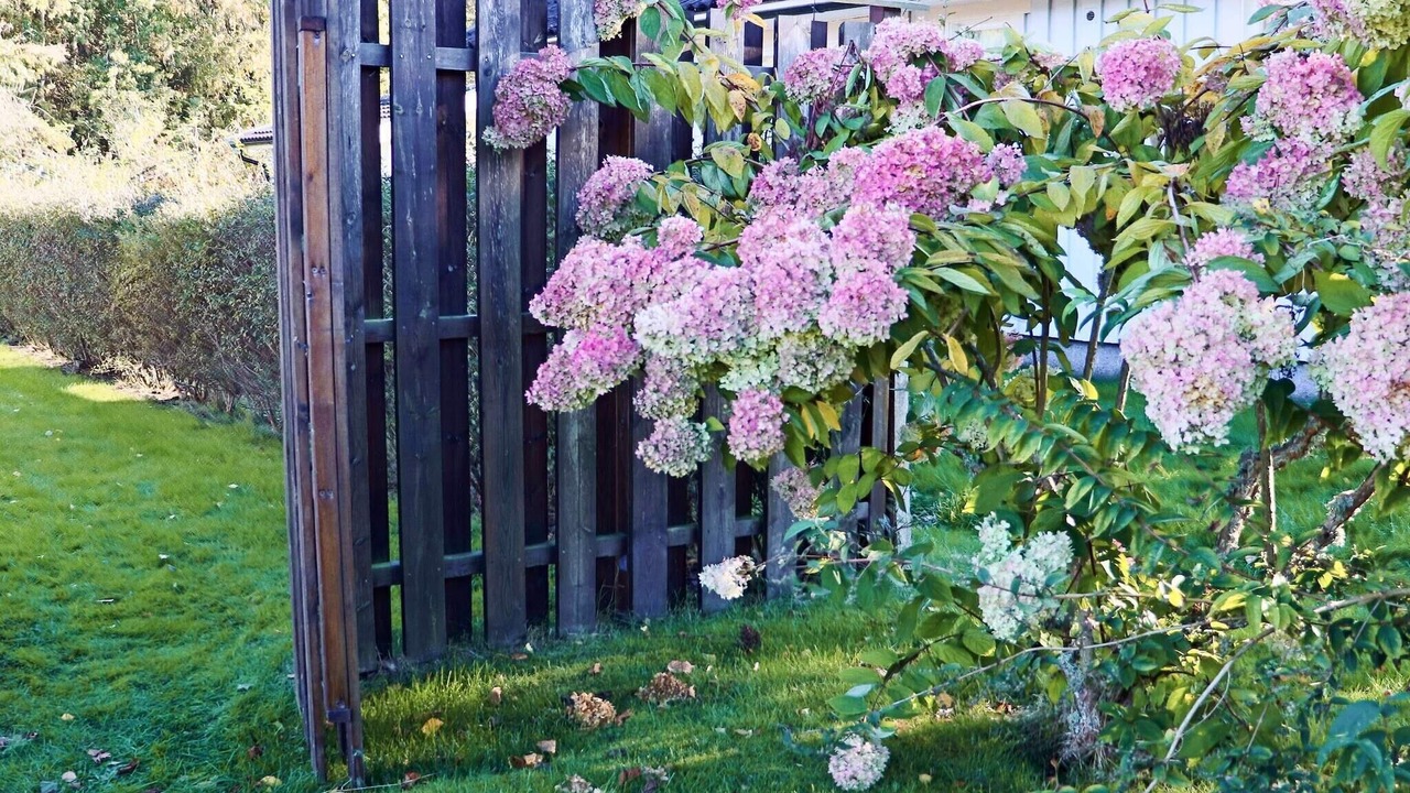 Photo of Outdoor in Skummesloevsstrand