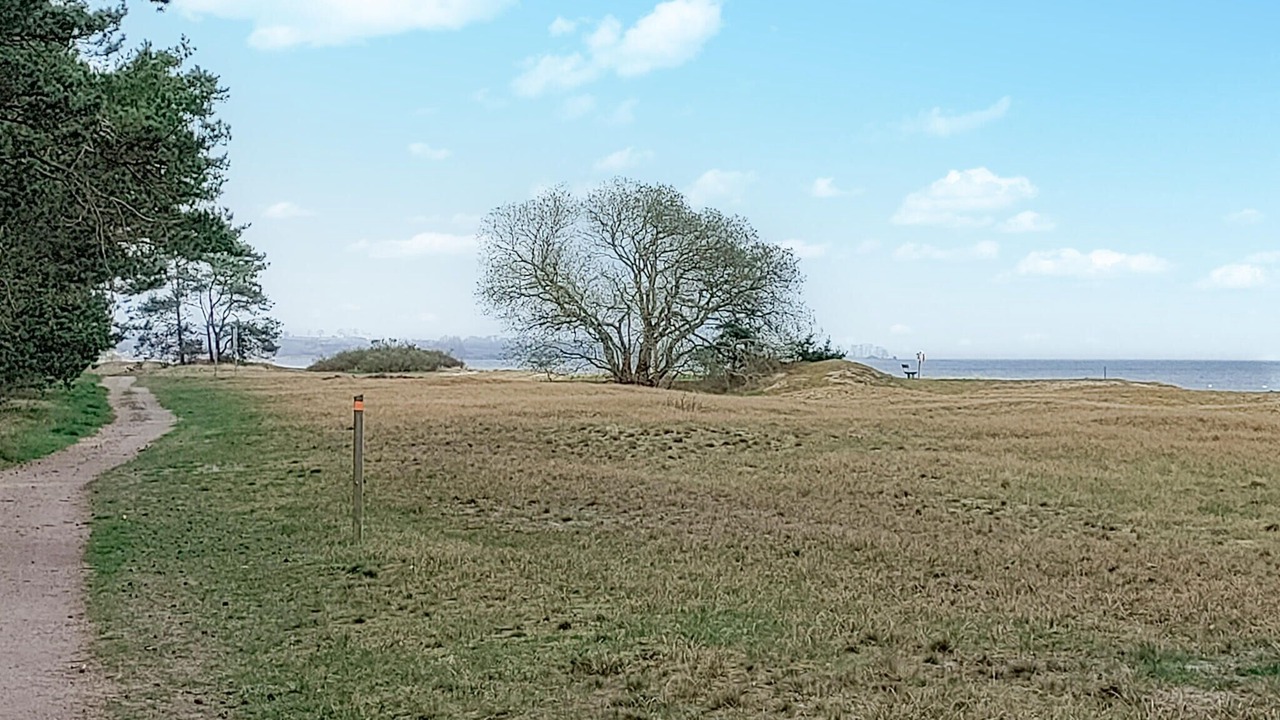Photo of Others in Skillinge