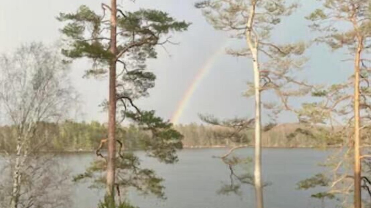 Photo of Others in Vittsjo