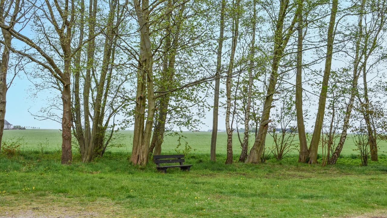 Photo of Others in Beddingestrand