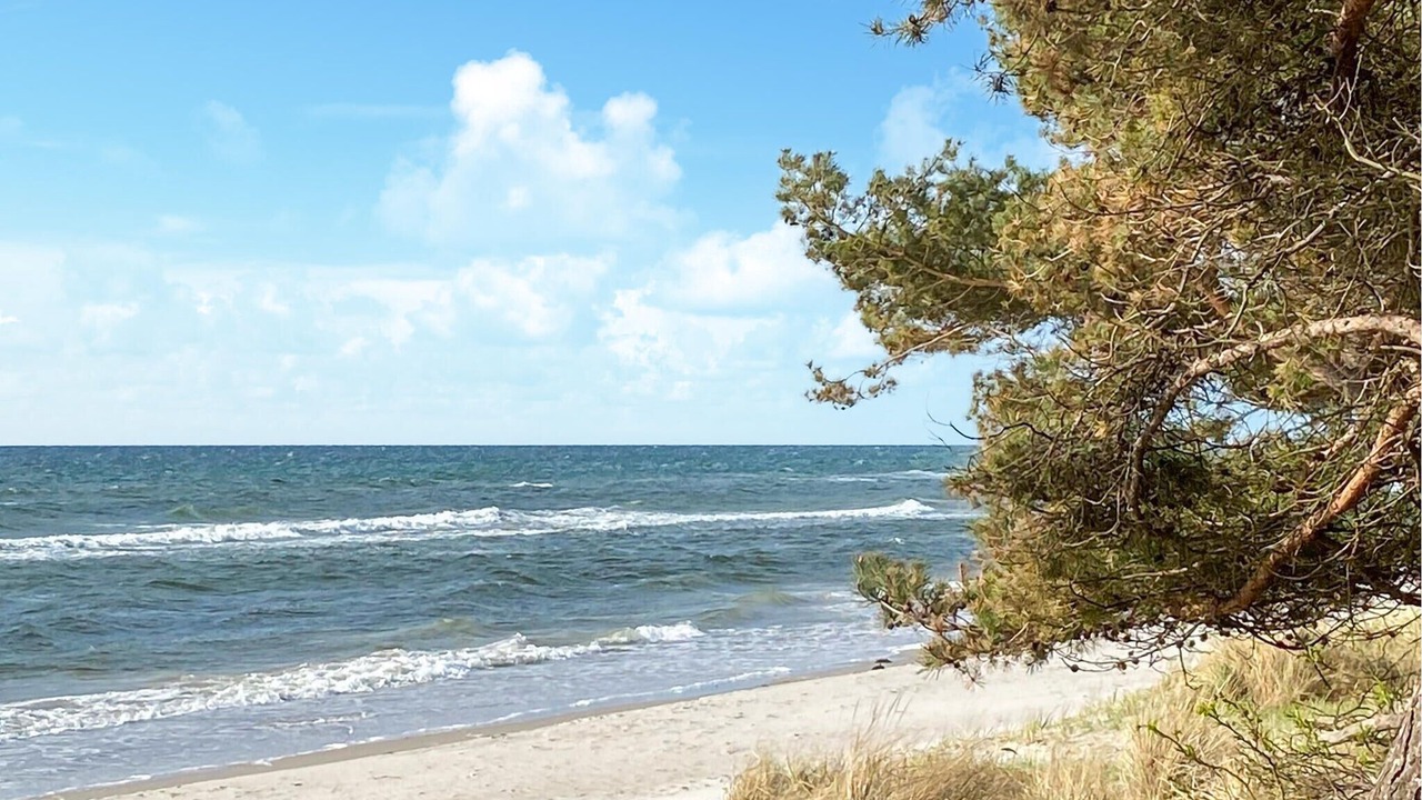 Photo of Others in Beddingestrand