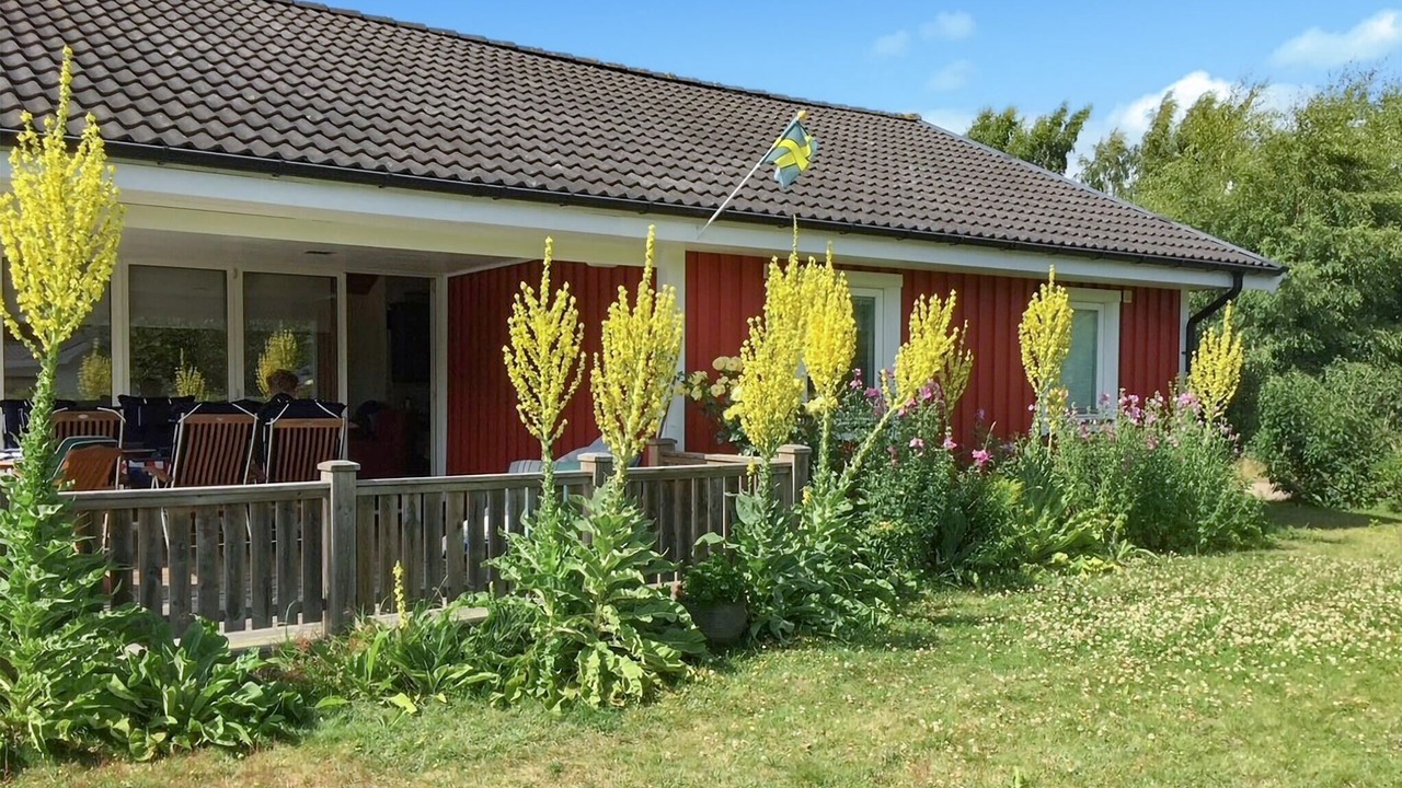 Photo of Others in Beddingestrand