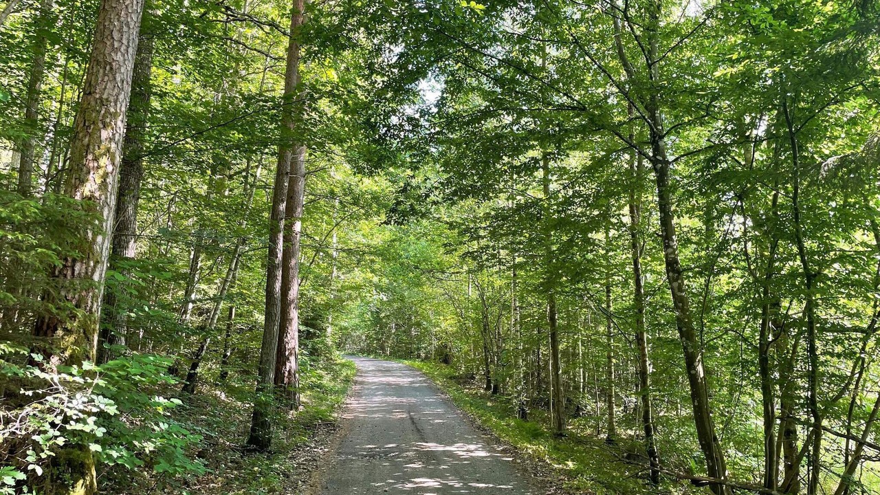 Photo of Outdoor in Olofstrom Municipality