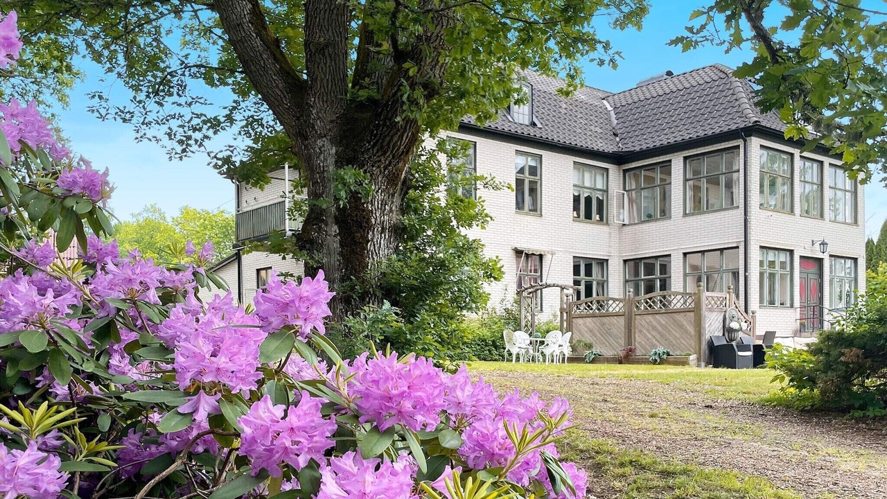Photo of Outdoor in Olofstrom