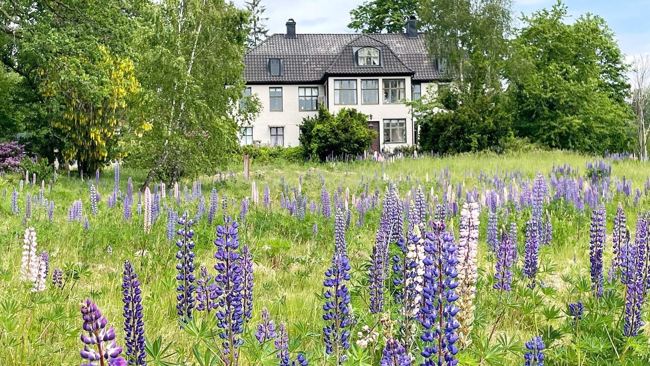Photo of Outdoor in Olofstrom Municipality