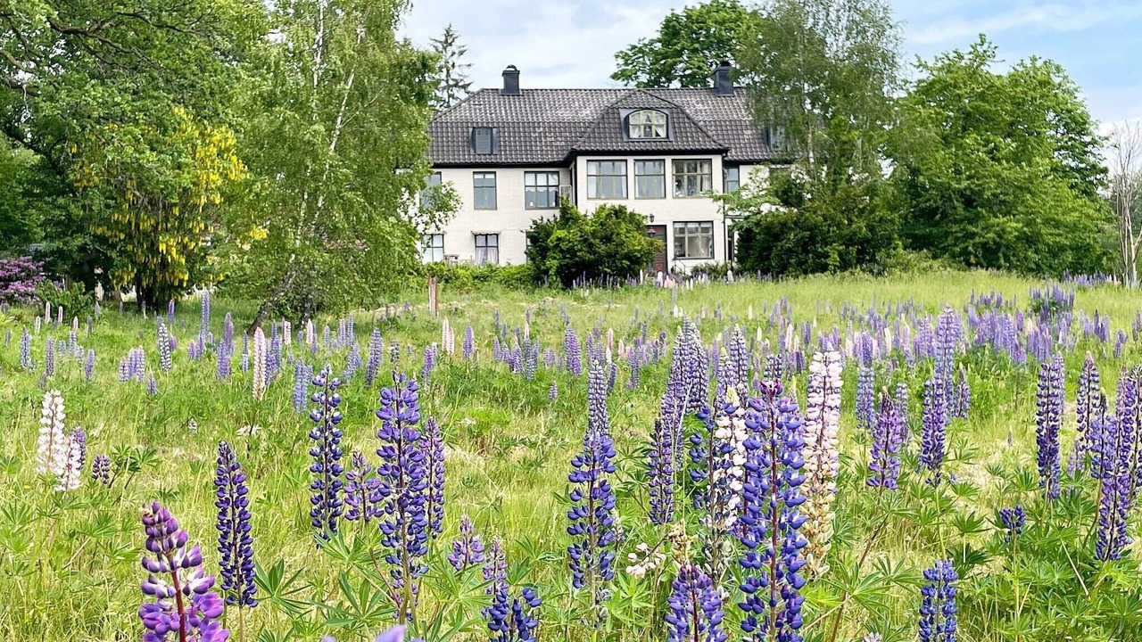 Photo of Outdoor in Olofstrom