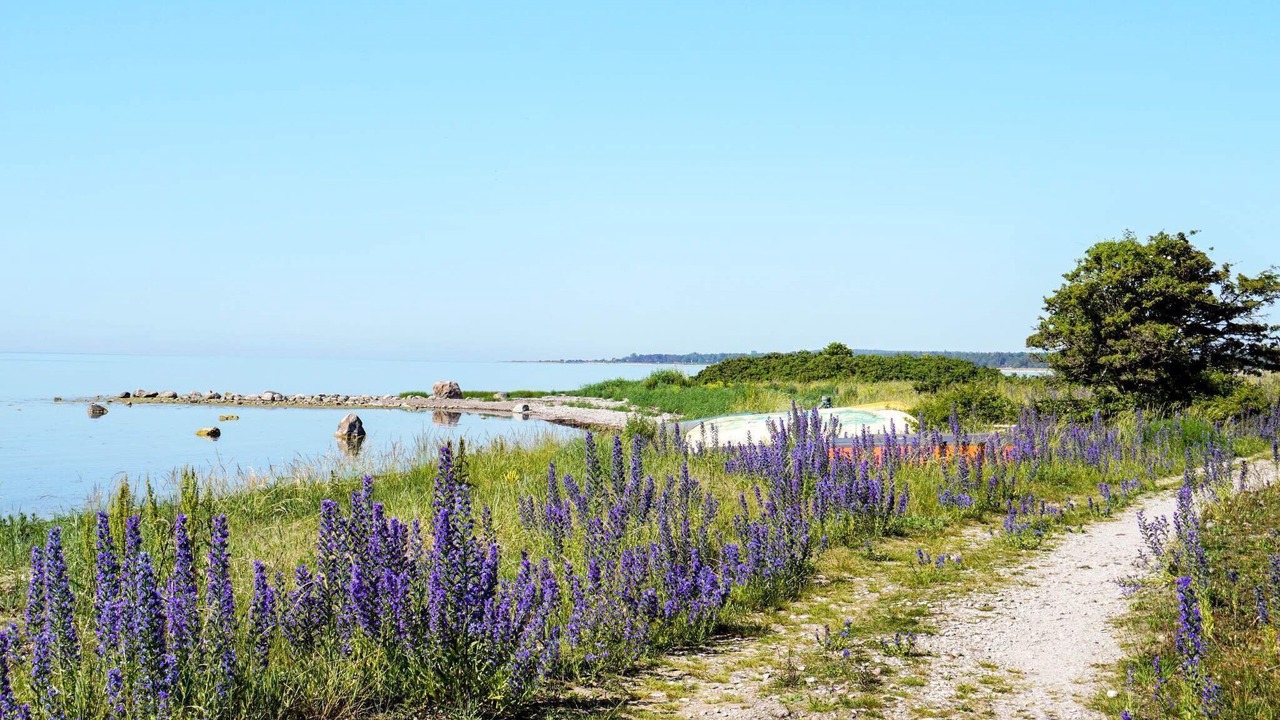 Photo of Outdoor in Tofta