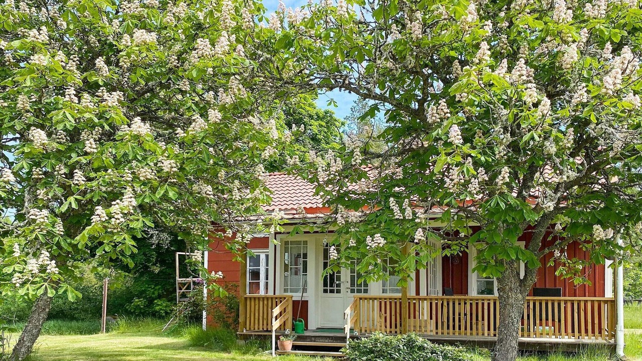Photo of Outdoor in Rockneby