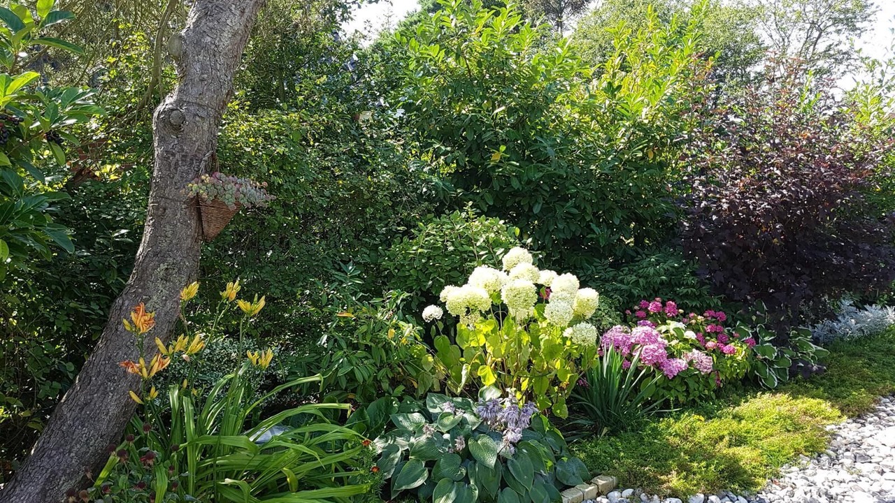 Photo of Outdoor in Skanor-Falsterbo