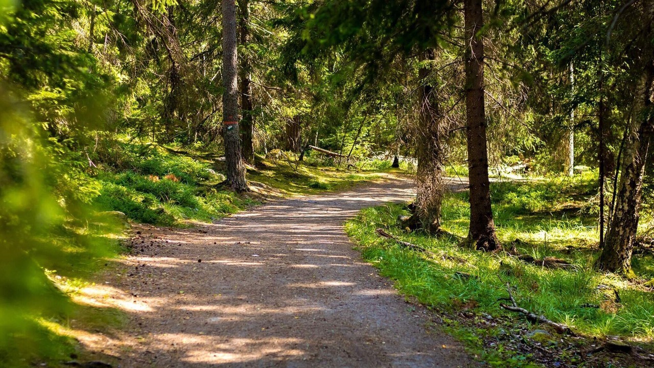 Photo of Outdoor in Jadraas