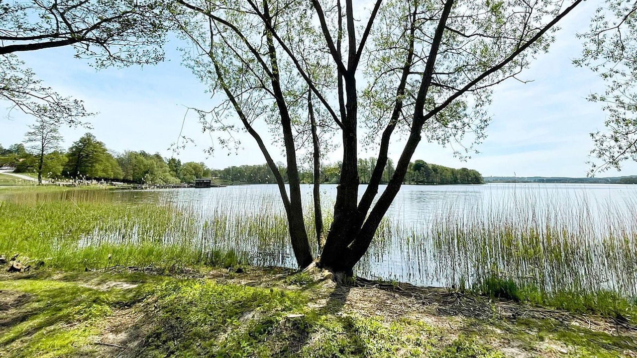 Photo of Others in Blentarp