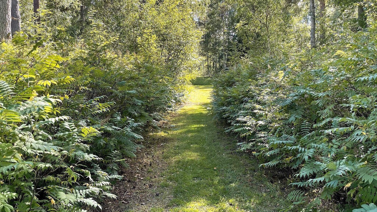 Photo of Outdoor in Blentarp