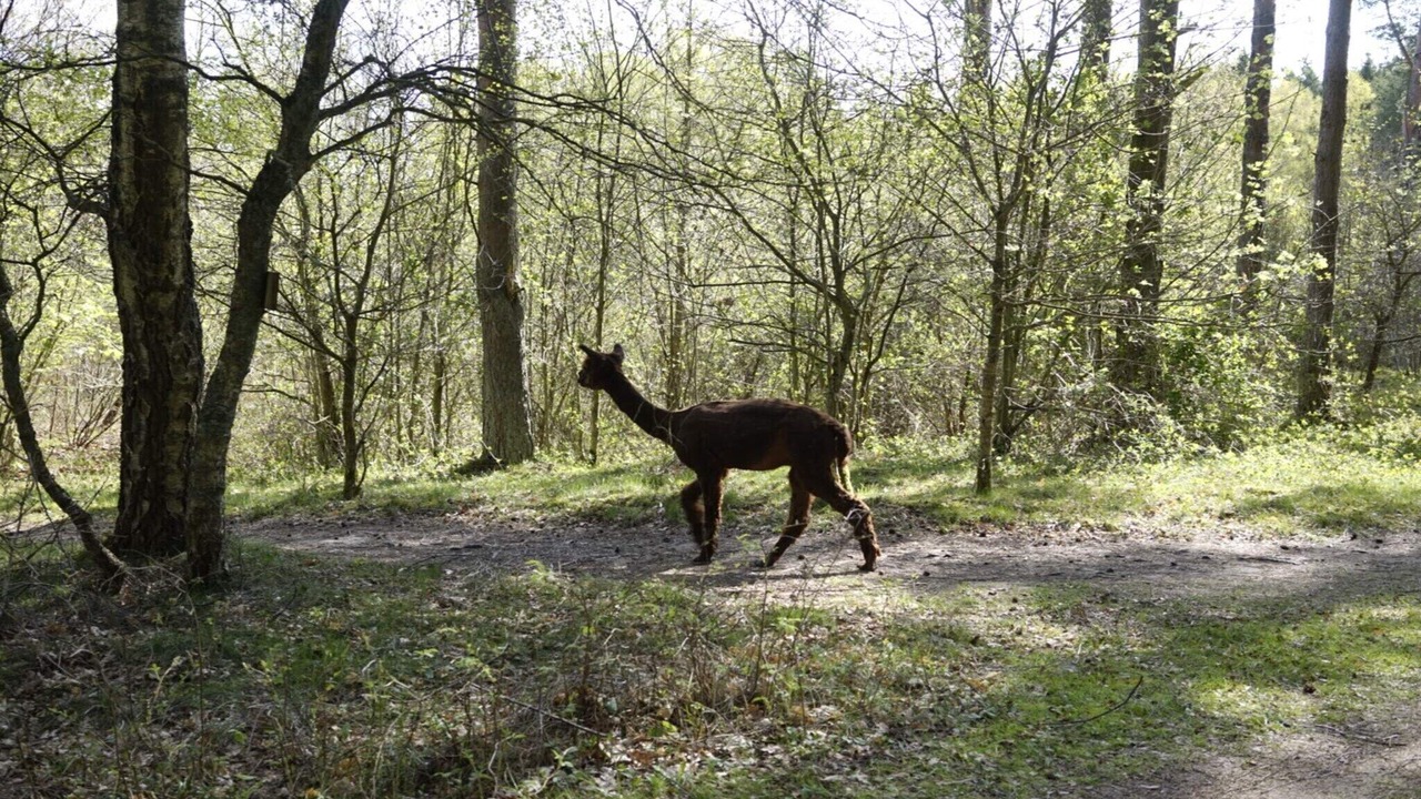 Photo of Others in Blentarp