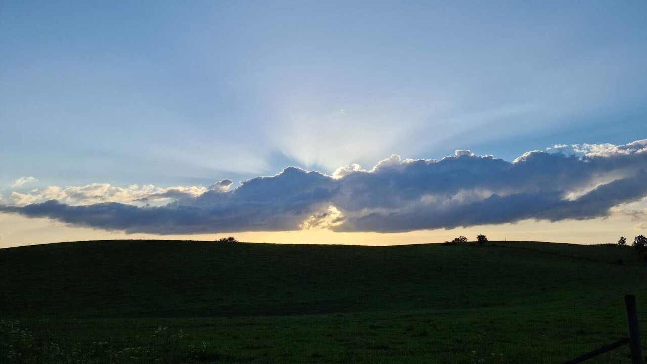 Photo of Others in Blentarp
