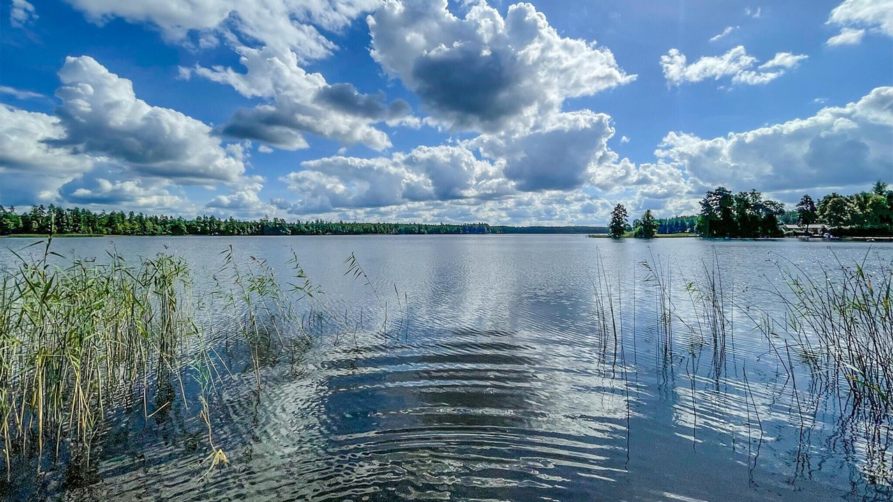 Photo of Others in Vaggeryd
