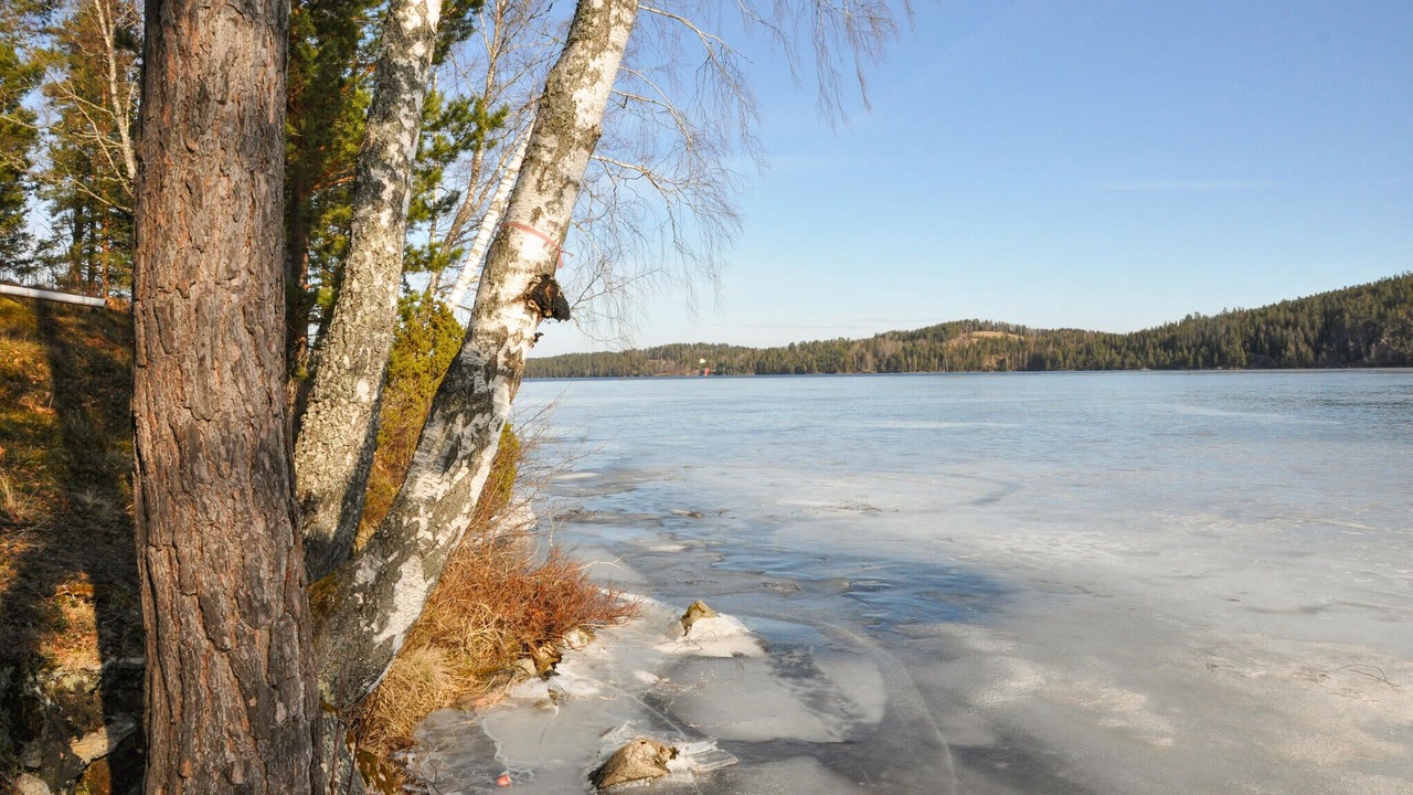 Photo of Others in Gustavsfors