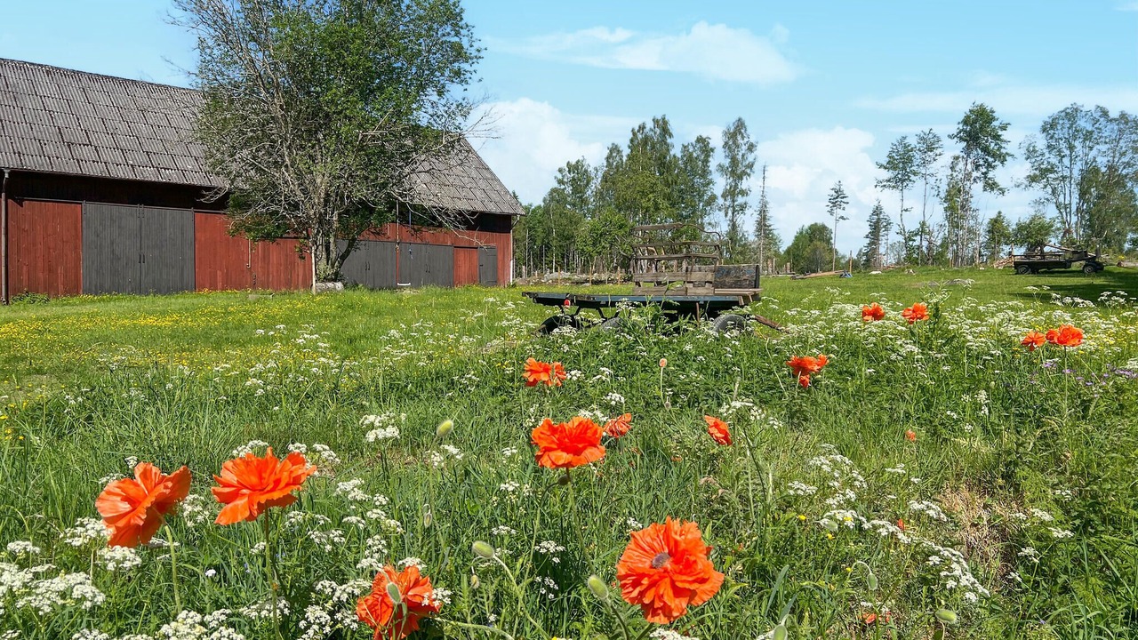 Photo of Others in Hallsberg Municipality