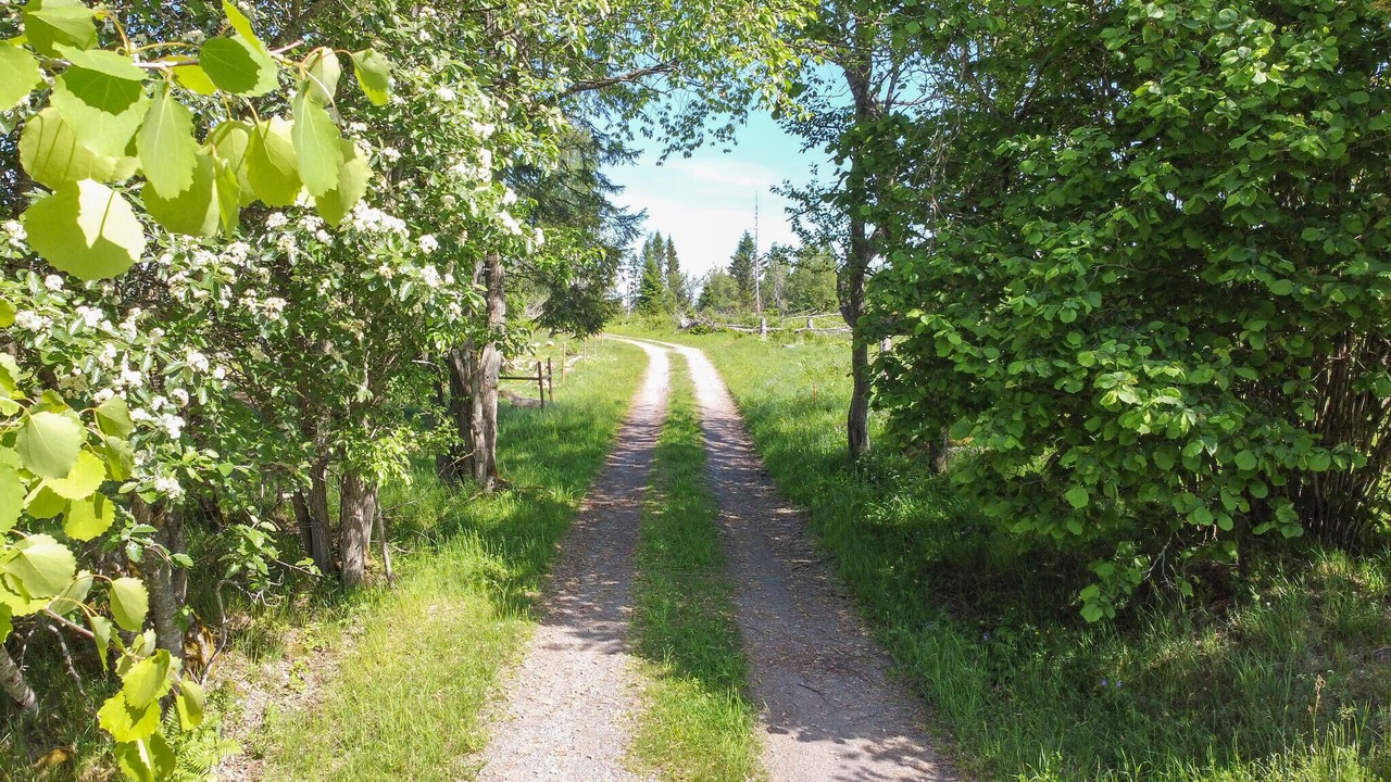Photo of Others in Hallsberg Municipality