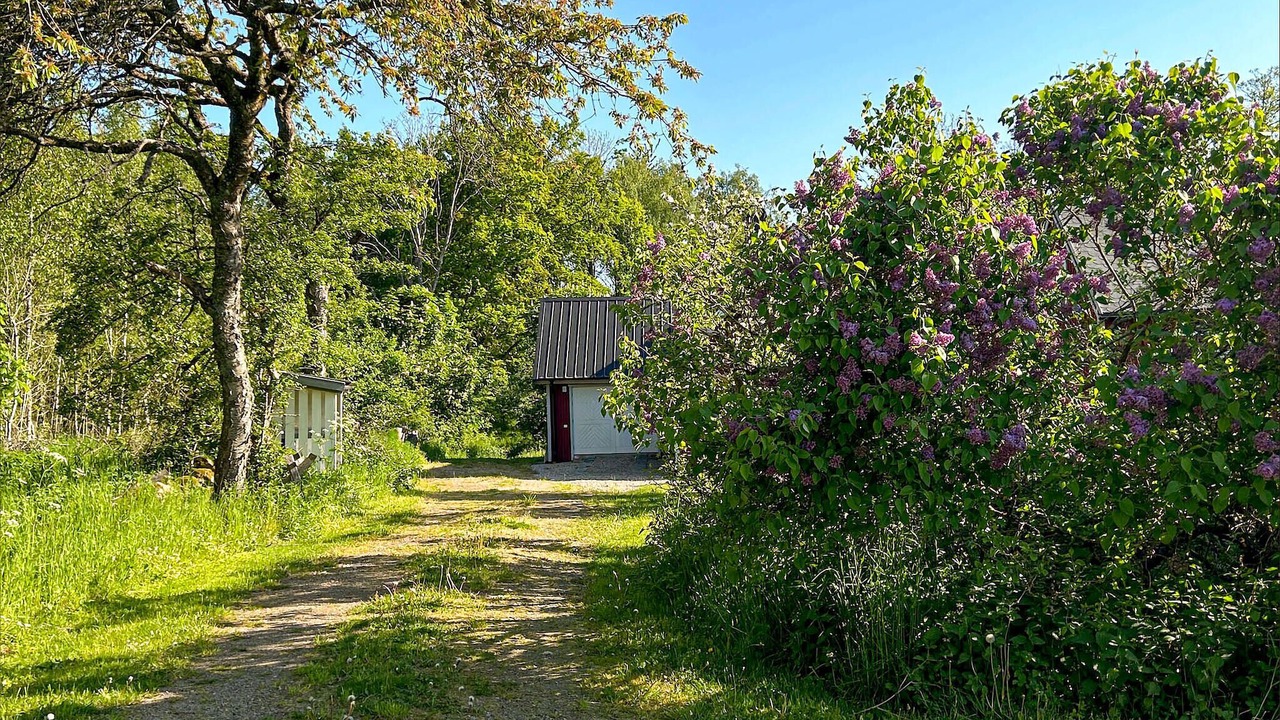 Photo of Others in Brosarp