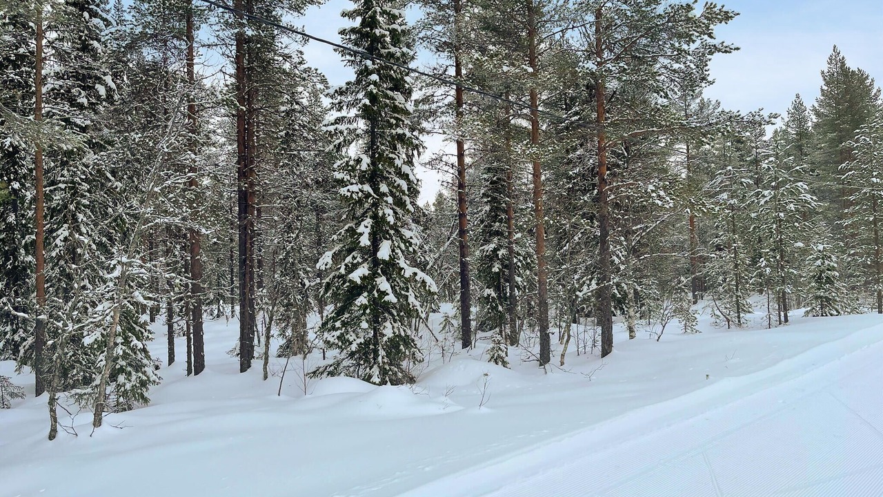 Photo of Others in Trysil