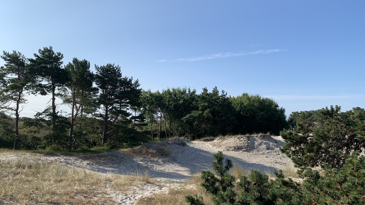 Photo of Outdoor in Borrby