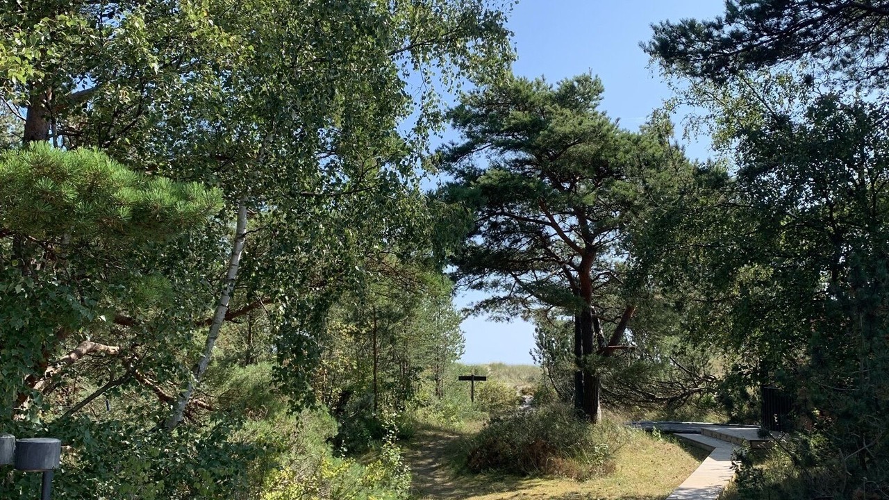 Photo of Outdoor in Borrby