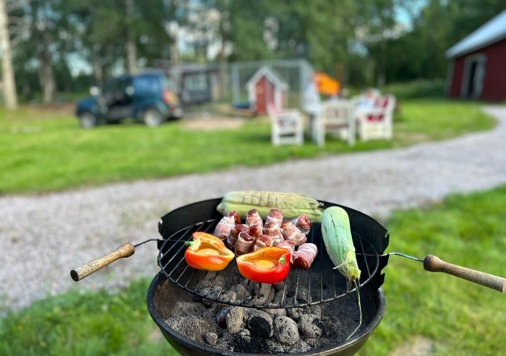 Photo of Others in Hagfors Municipality