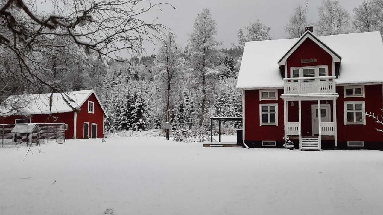 Photo of Outdoor in Hagfors Municipality