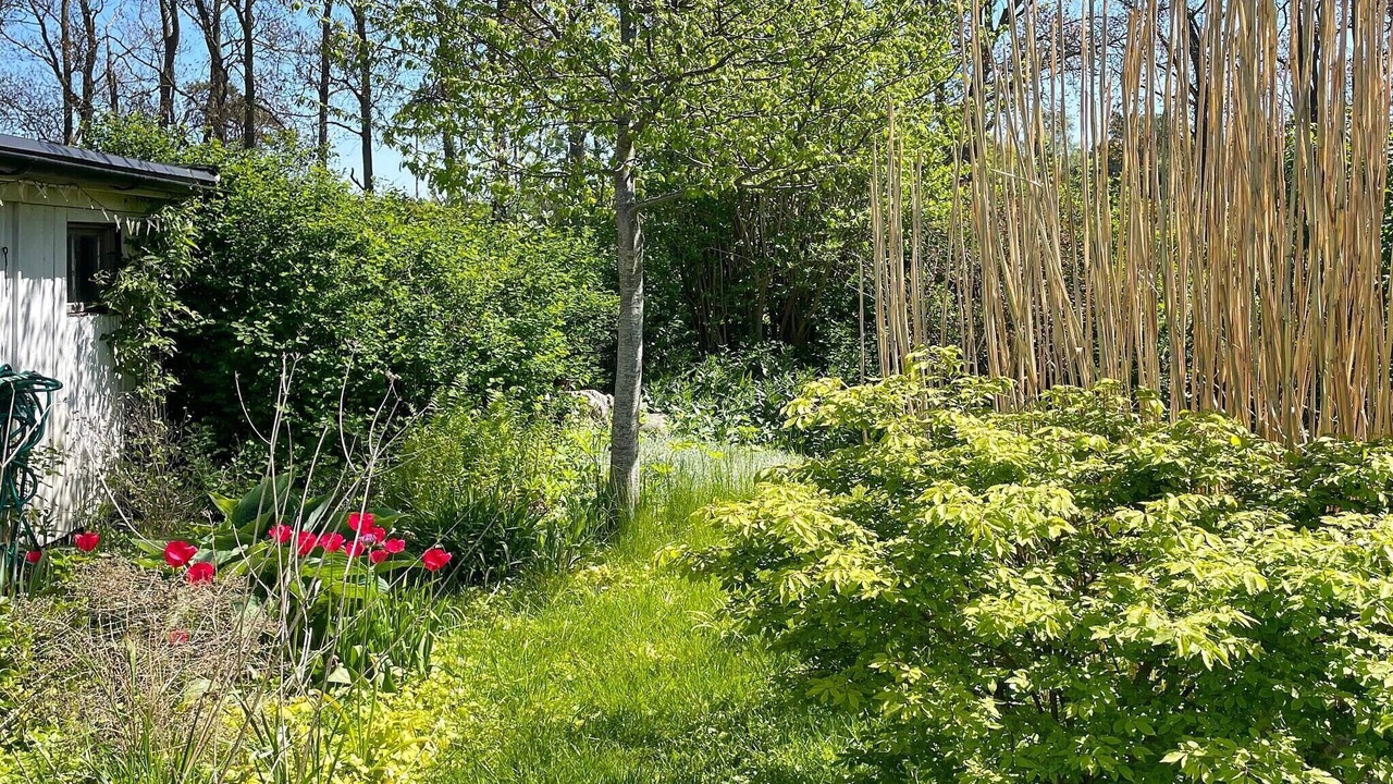 Photo of Outdoor in Loderup