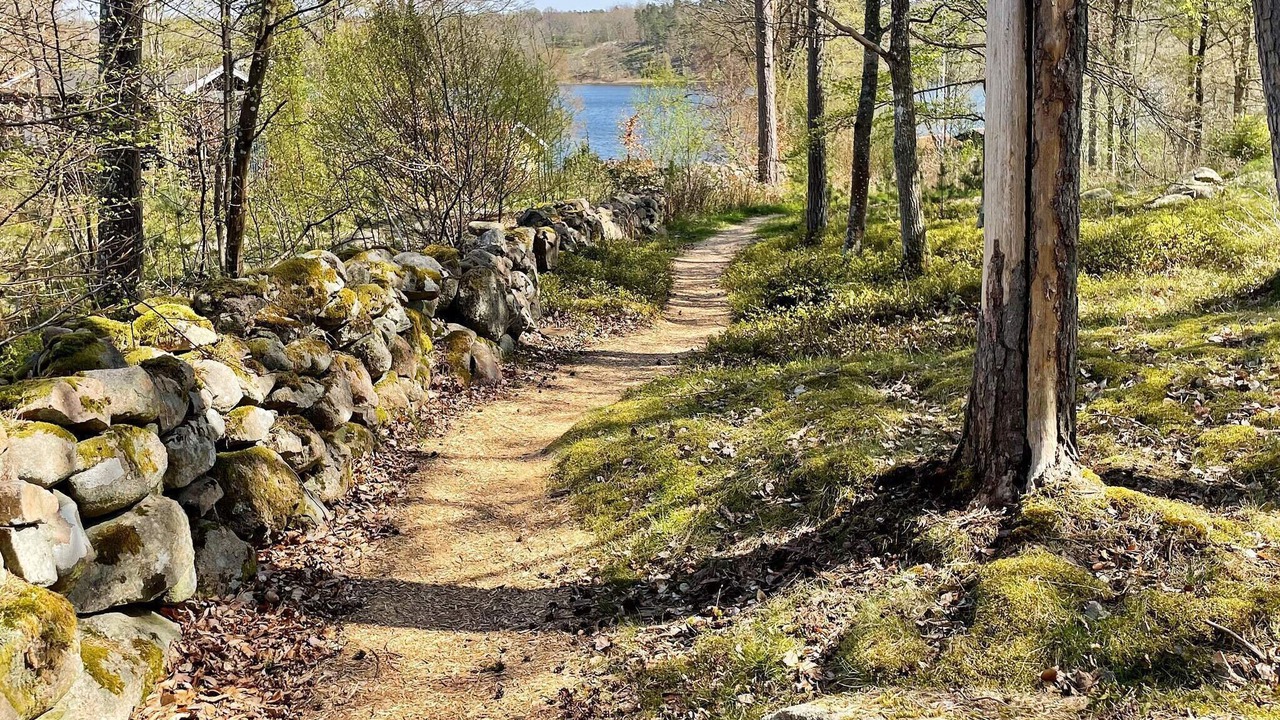 Photo of Outdoor in Ronneby