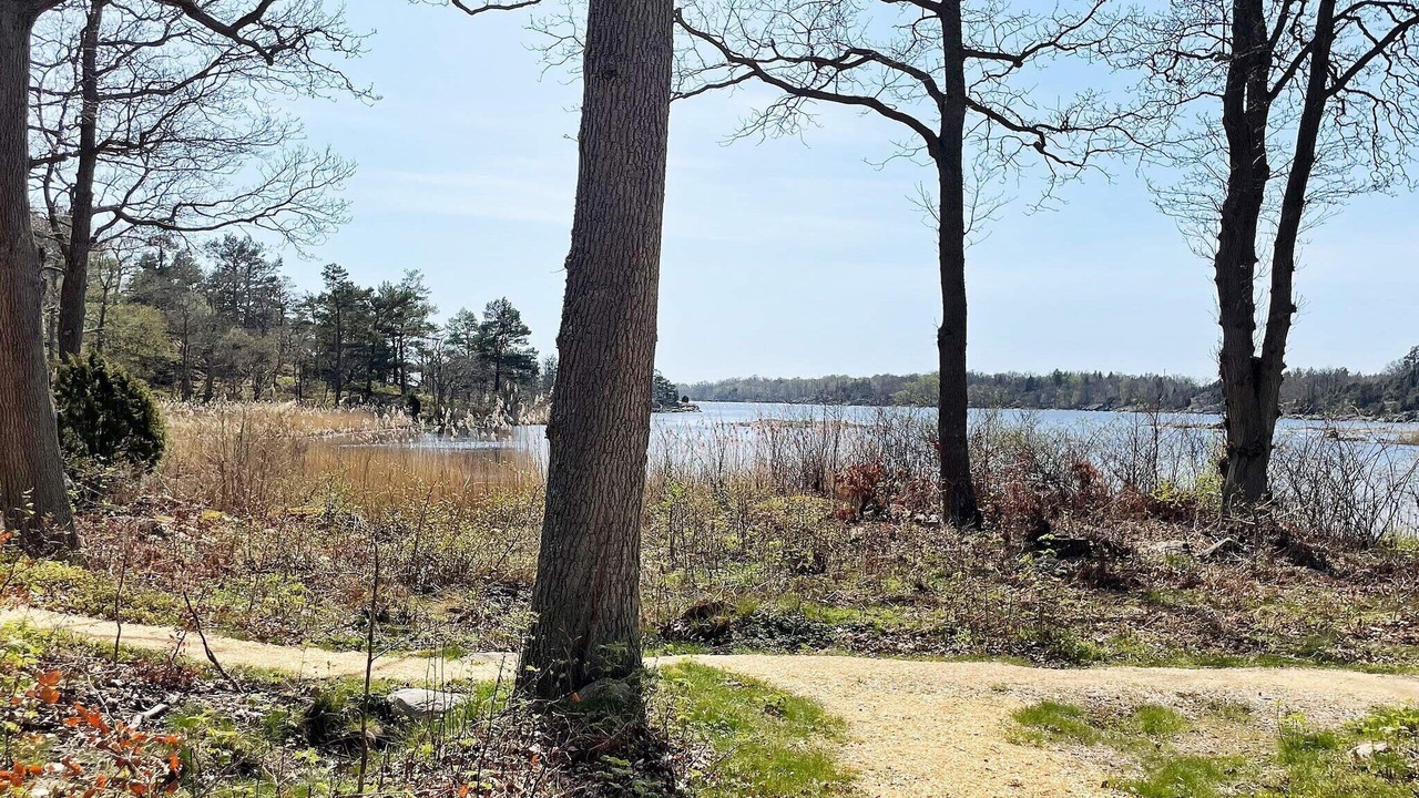 Photo of Outdoor in Ronneby