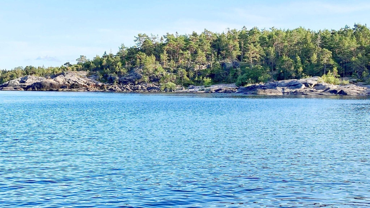 Photo of Others in Grisslehamn