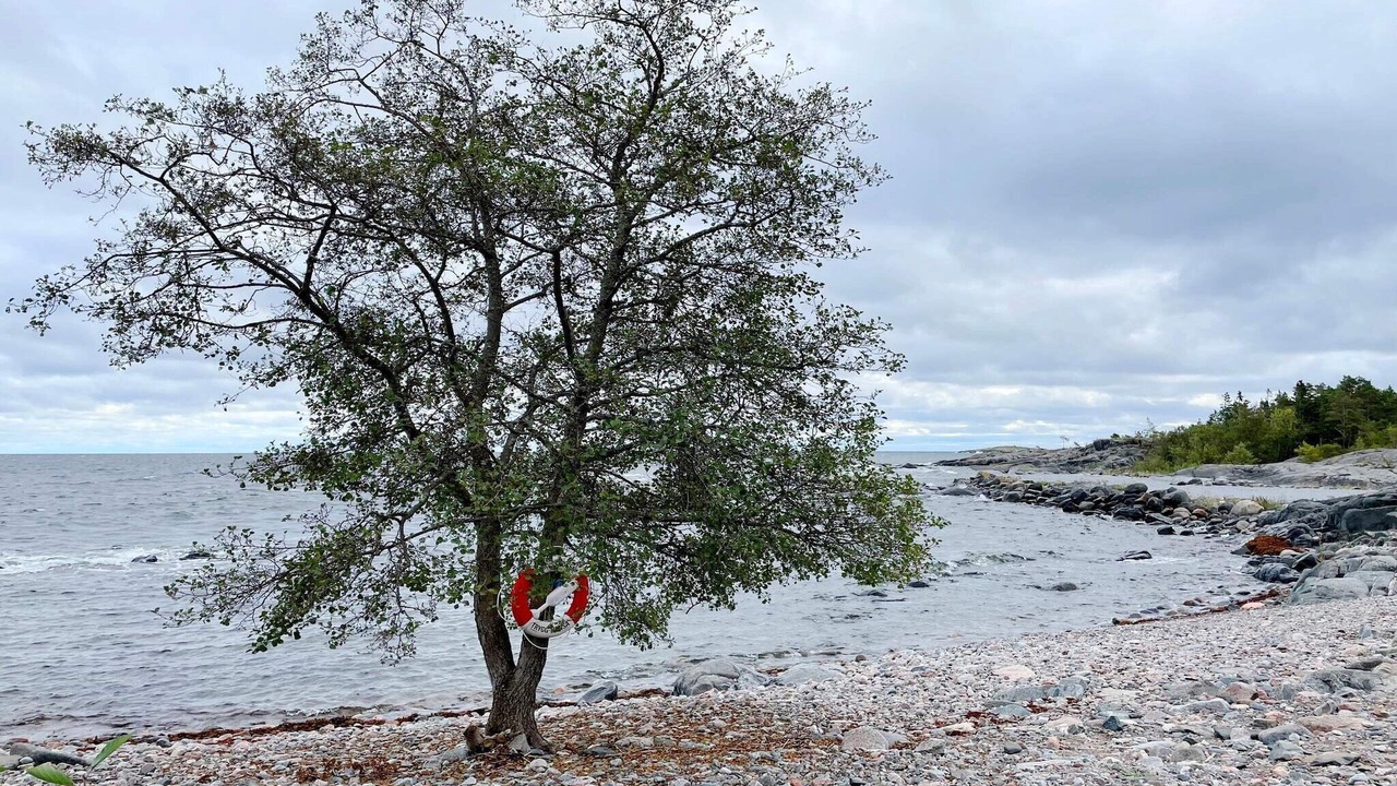 Photo of Others in Grisslehamn