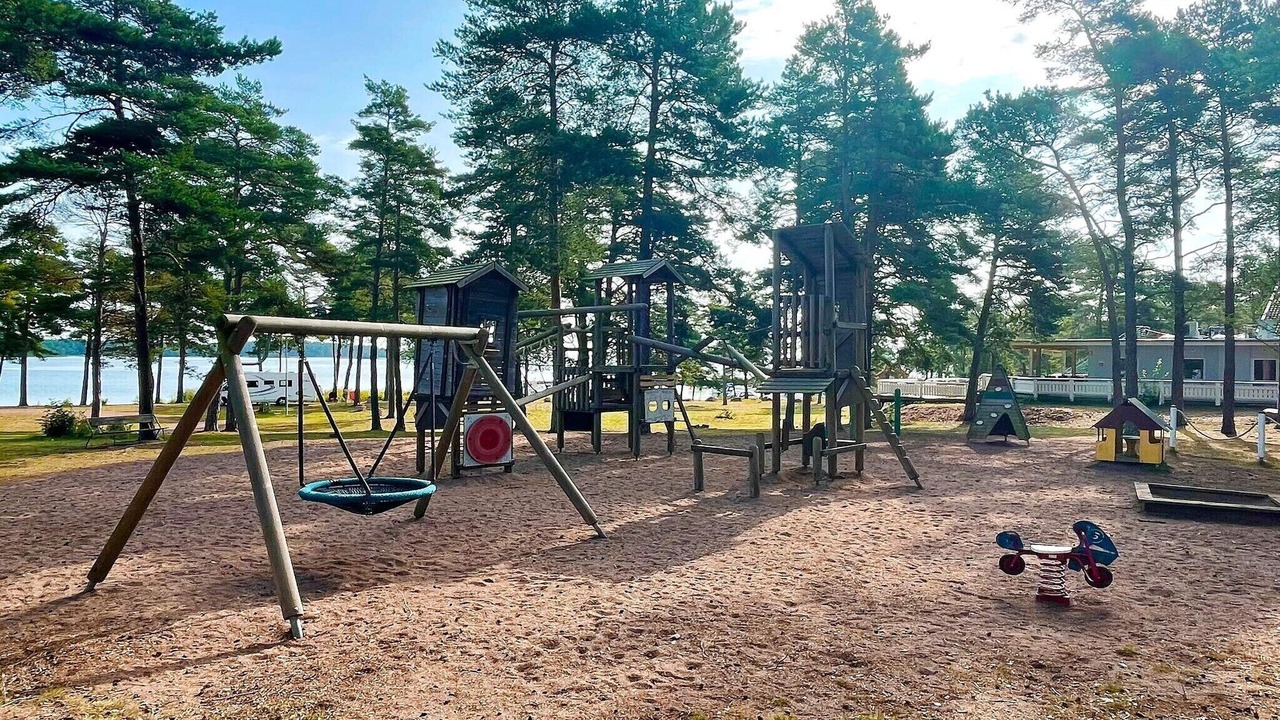 Photo of Others in Monsteras