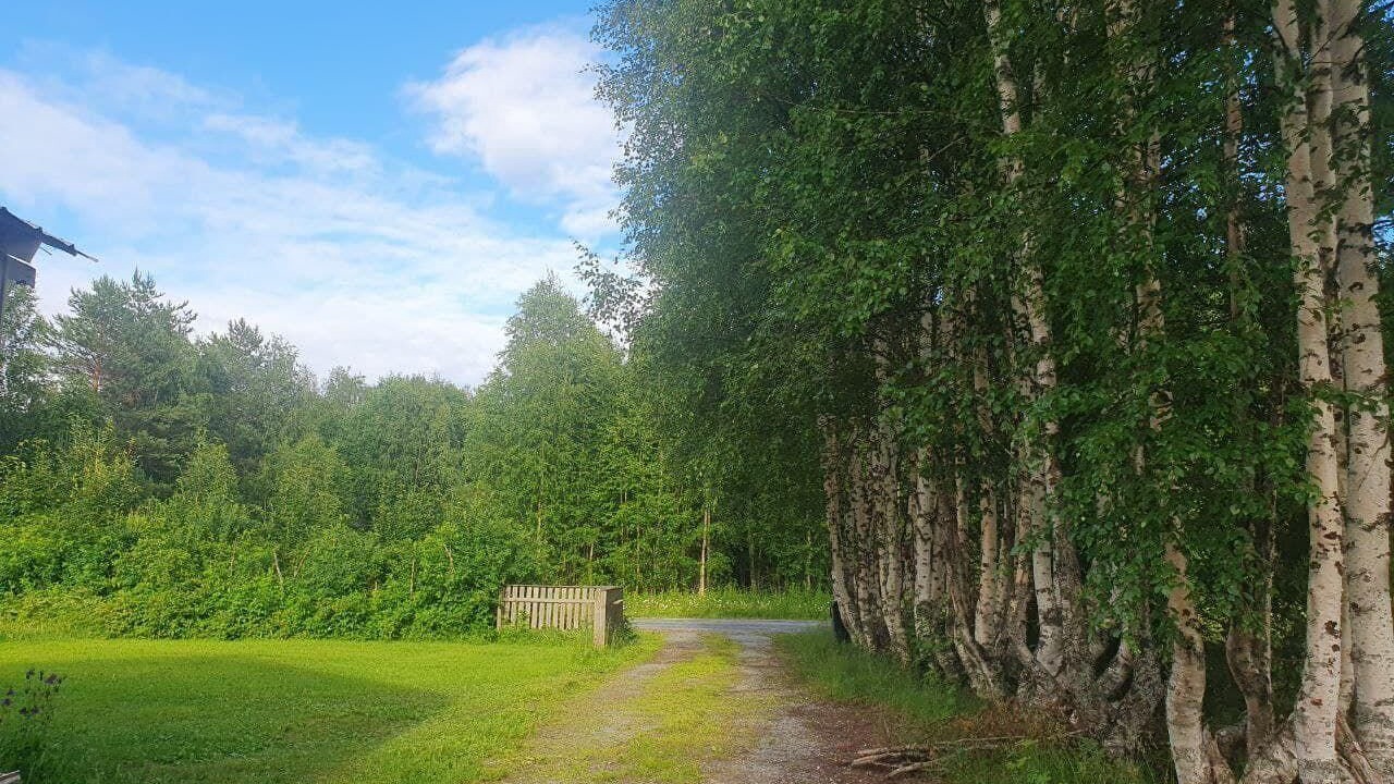 Photo of Outdoor in Ramsele