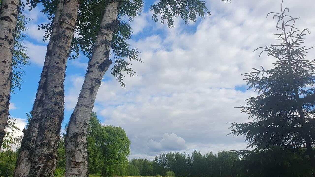 Photo of Outdoor in Ramsele