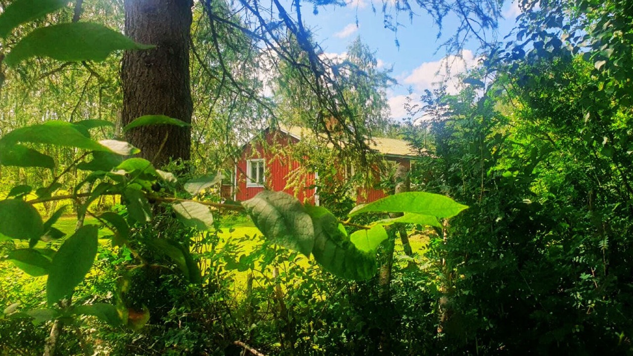 Photo of Outdoor in Ramsele