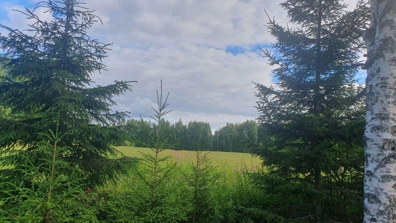 Photo of Outdoor in Ramsele