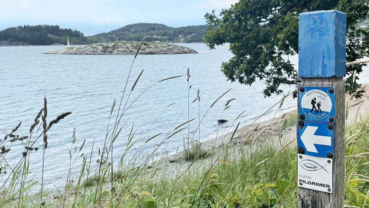 Photo of Others in Ljungskile