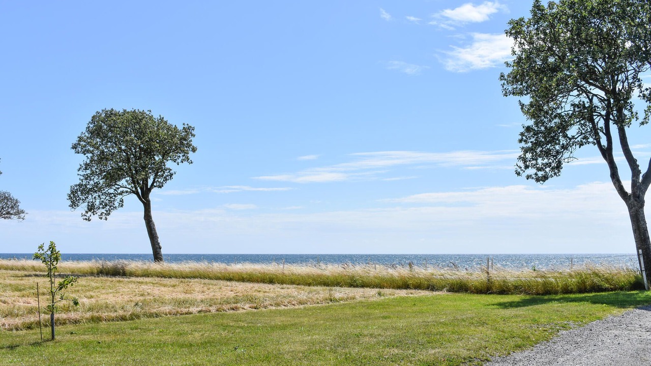 Photo of Others in Skane County