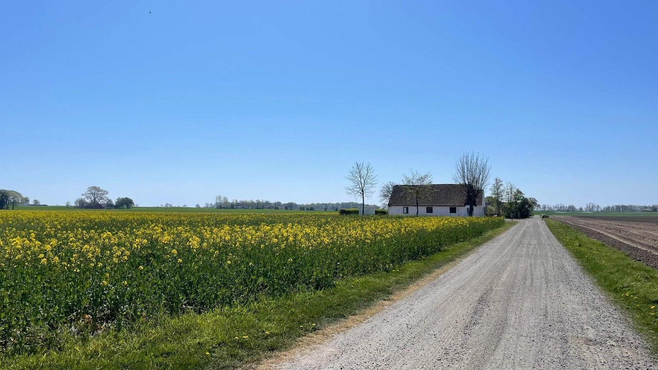 Photo of Outdoor in Ljunghusen