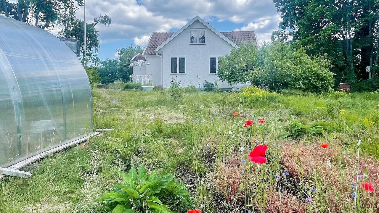 Photo of Outdoor in Bockara