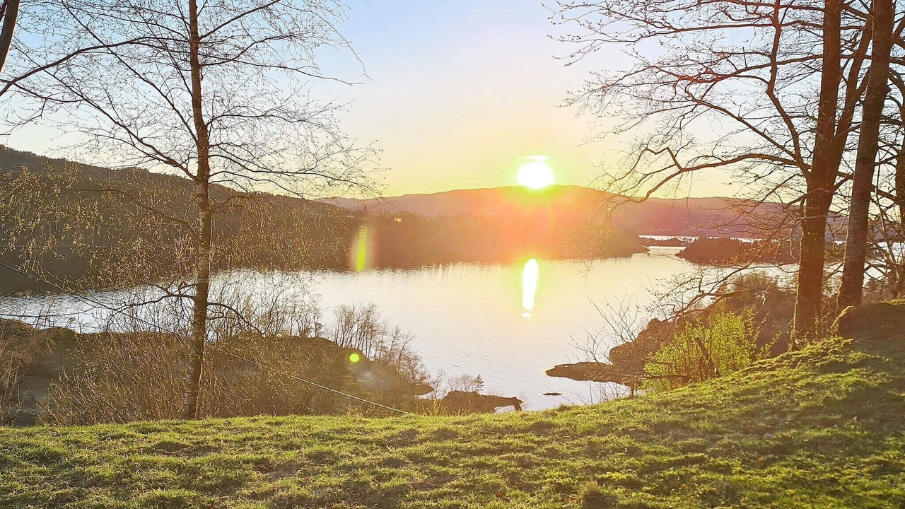 Photo of Others in Lonevag